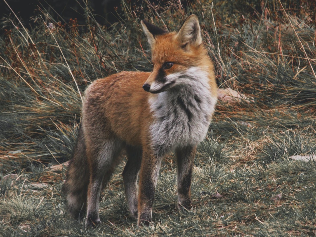 Why be unnecessarily cruel to&nbsp;wildlife?