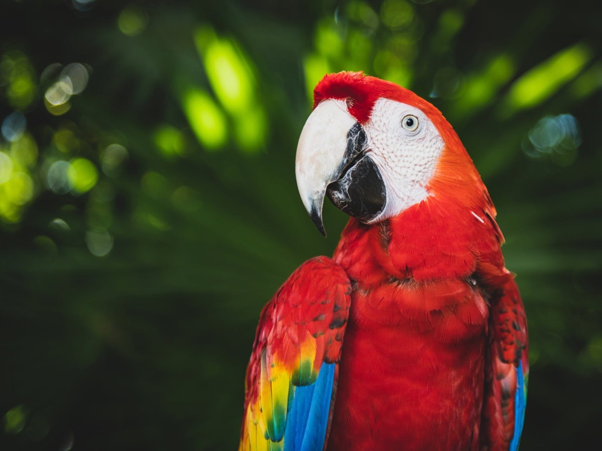 How are you taking&nbsp;responsibility?